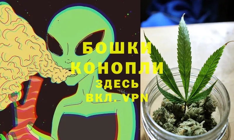 Канабис THC 21%  Моздок 